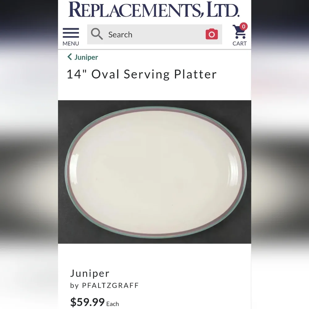 Pfaltzgraff Vintage Juniper Oval‎ Serving Platter Stoneware Dinner USA 14